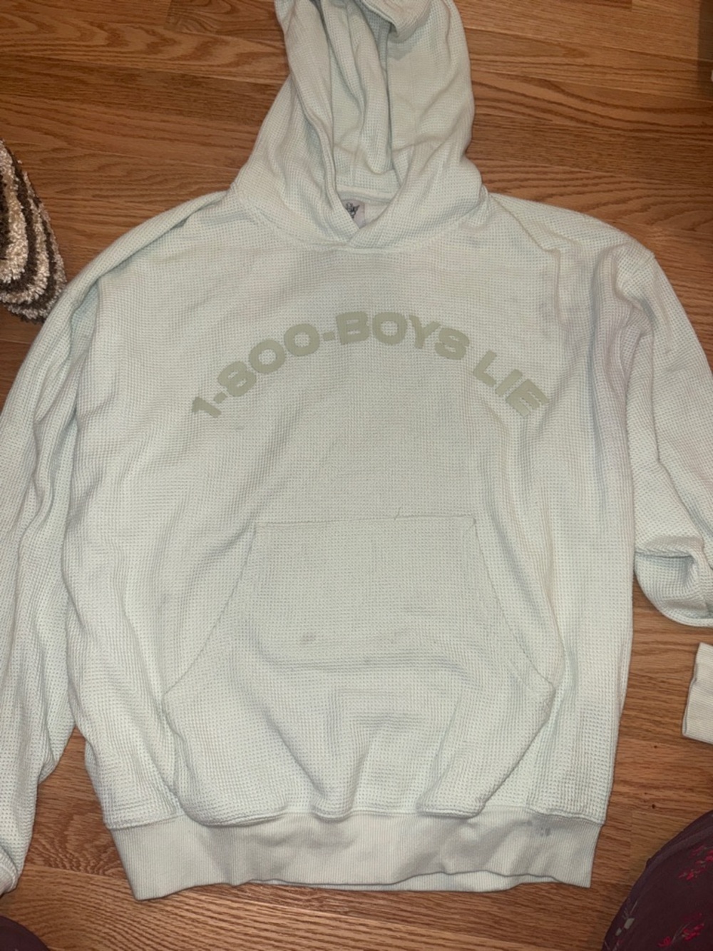 Boys Lie Hooded Waffle Knit Pullover Sweatshirt in Mint